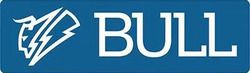 Bull