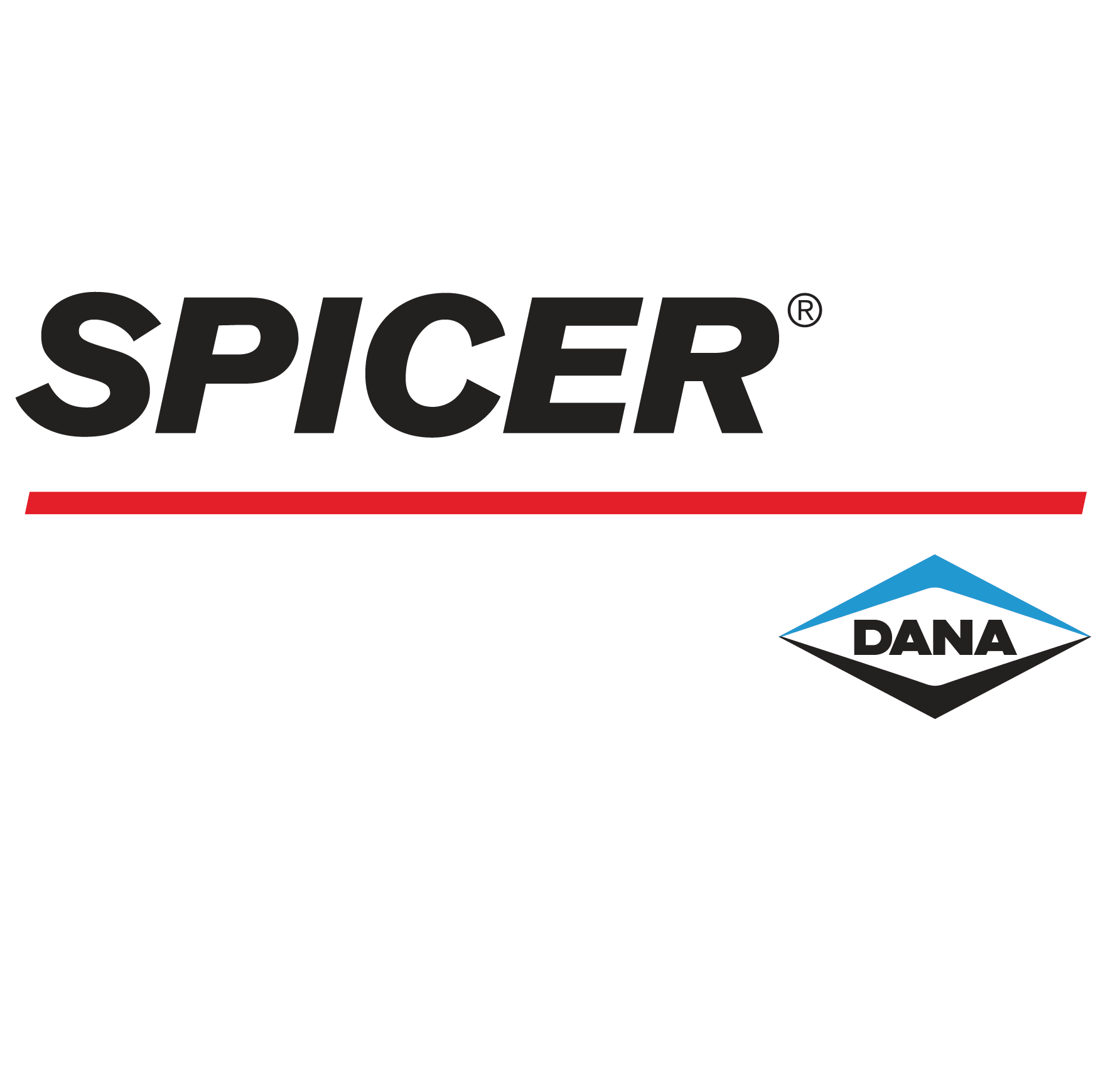 Dana Spicer